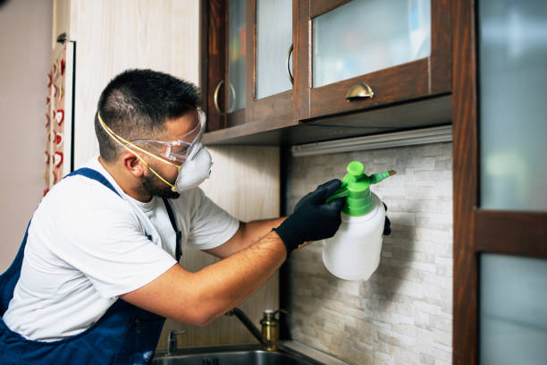  Vergennes, VT Pest Control Pros