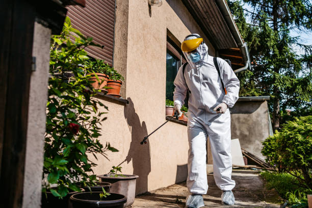 Best Wildlife Control Services  in Vergennes, VT