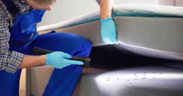 Best Commercial Pest Control Services  in Vergennes, VT