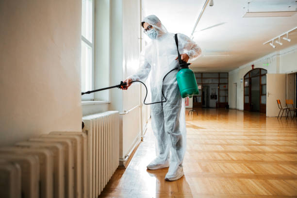 Wasp Removal Services in Vergennes, VT