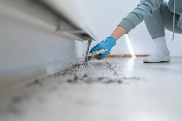 Best Pest Control Near Me  in Vergennes, VT